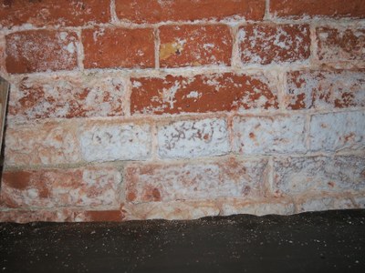 image8.jpeg